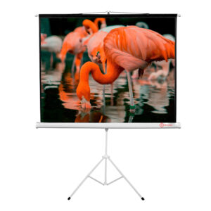Pantalla Trípode HI-SCREEN 180×180 cm