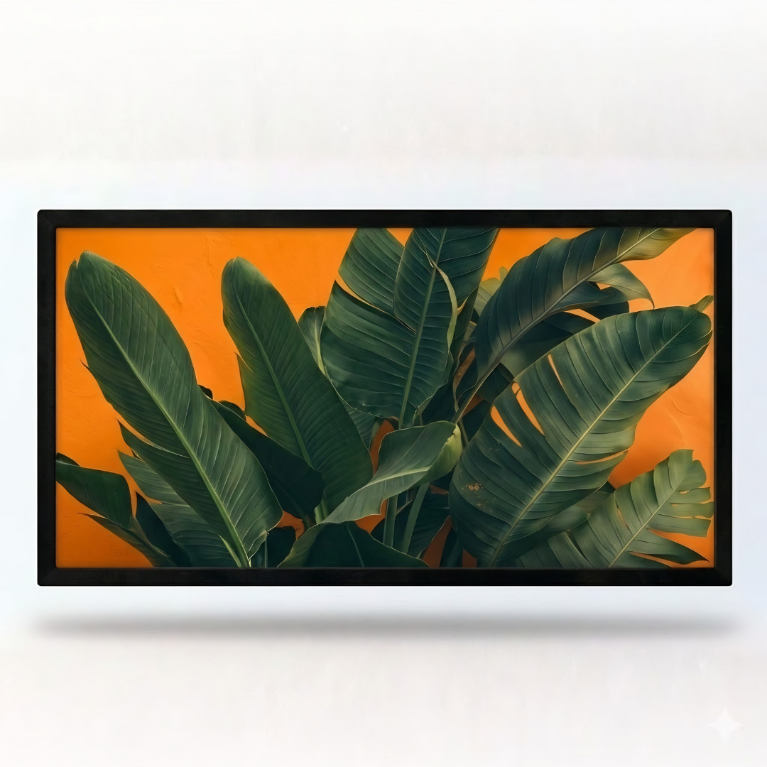 Telón marco de lujo Hi-SCREEN 150cmx100cm